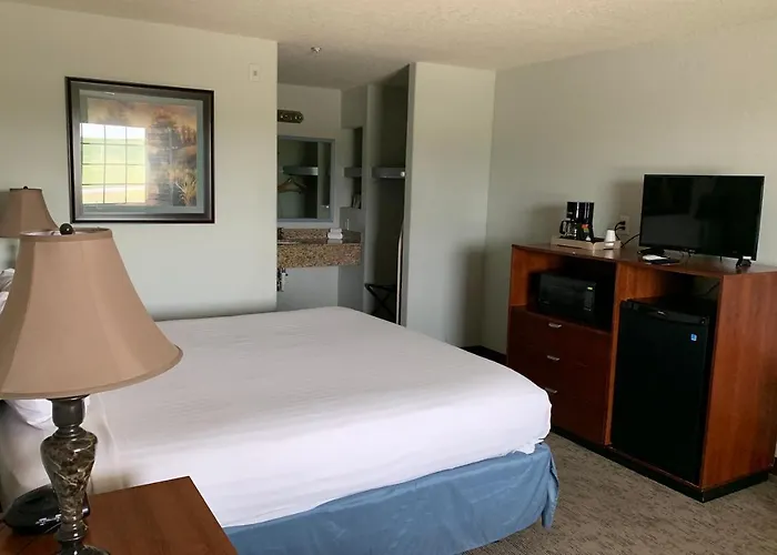 Oyo Hotel Pearsall I-35 West